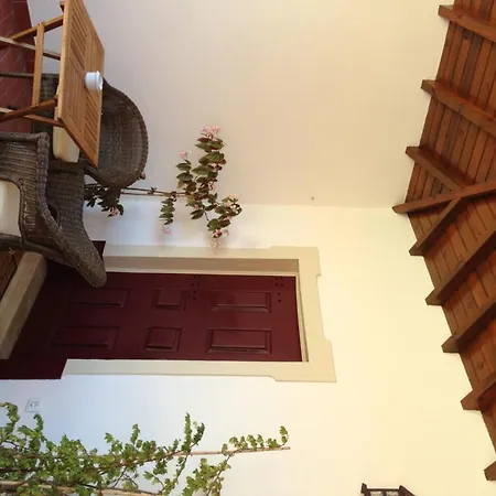 Quinta Alves De Matos Bauernhof Souto da Carpalhosa