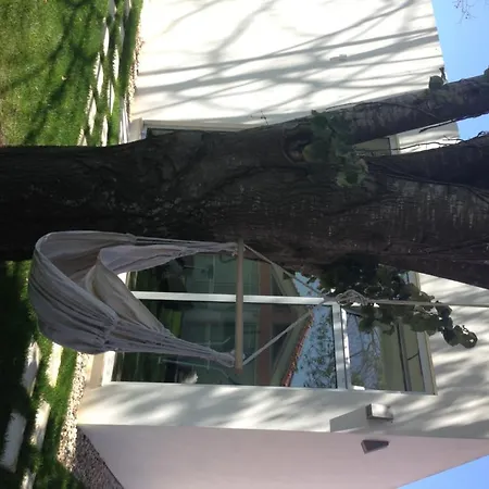 Quinta Alves De Matos Souto da Carpalhosa