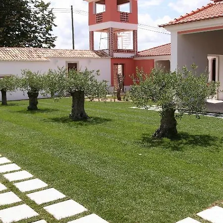 Farm stay Quinta Alves De Matos