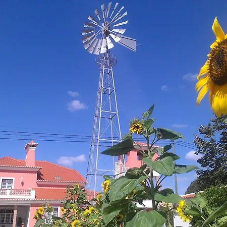Quinta Alves De Matos * Souto da Carpalhosa