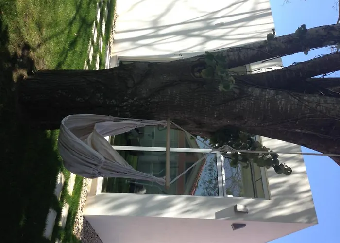 Quinta Alves De Matos Souto da Carpalhosa