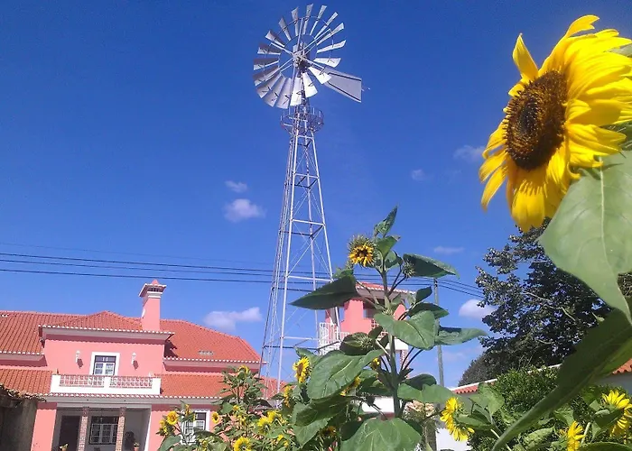 Quinta Alves De Matos * Souto da Carpalhosa